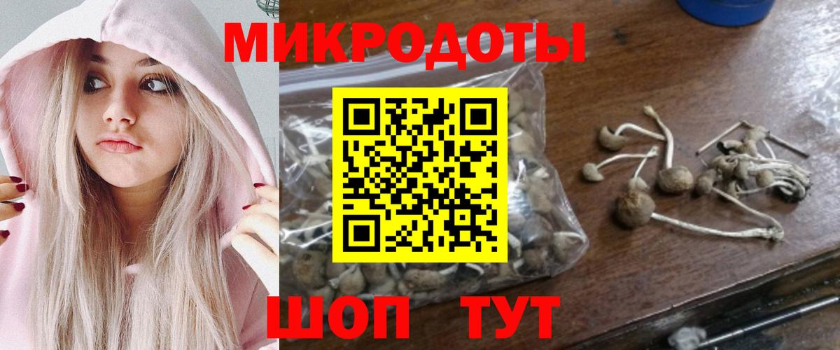 Галлюциногенные грибы мухоморы Мурманск